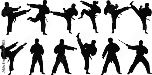 martial, arts, silhouette, posture, motion, kick, punch, weapon, belt, uniform, stance, icon, combat, technique