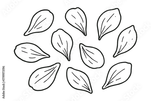 handdrawn cute doodle style spa flower petals vector line illustration