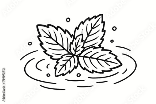 handdrawn cute doodle style mint leaves water vector line illustration