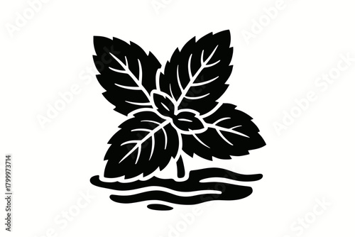 mint leaves water flat black solid vector illustration isolated on white background