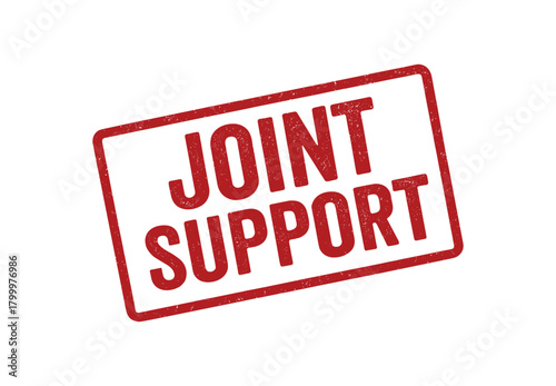 Red rubber stamp text JOINT SUPPORT rectangular outline bold capital letters distressed texture rotation isolated on white background vector illustration clean minimal style