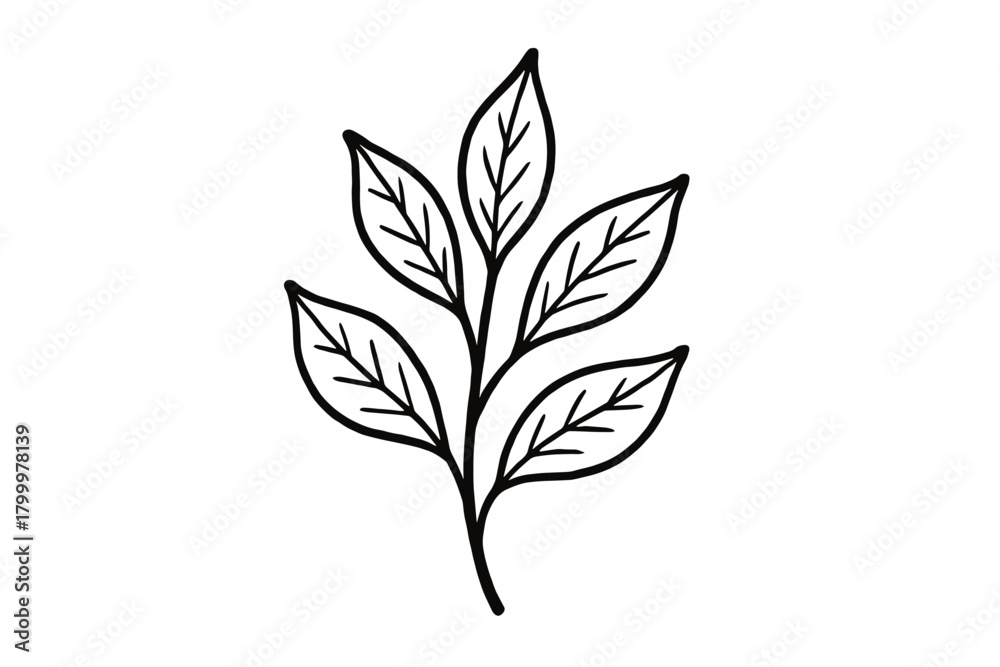 Fototapeta premium handdrawn cute doodle style tea leaves branch vector line illustration
