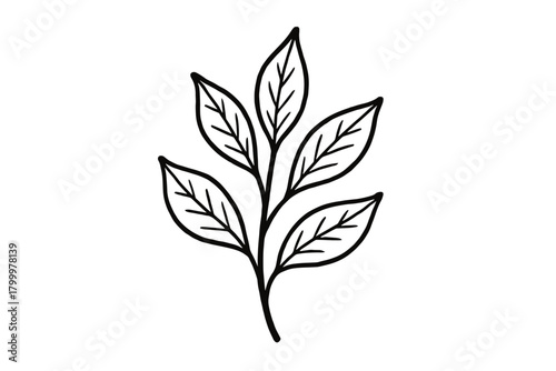 handdrawn cute doodle style tea leaves branch vector line illustration