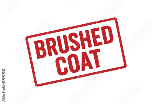 Red rubber stamp text BRUSHED COAT rectangular outline bold capital letters distressed texture rotation isolated on white background vector illustration clean minimal style