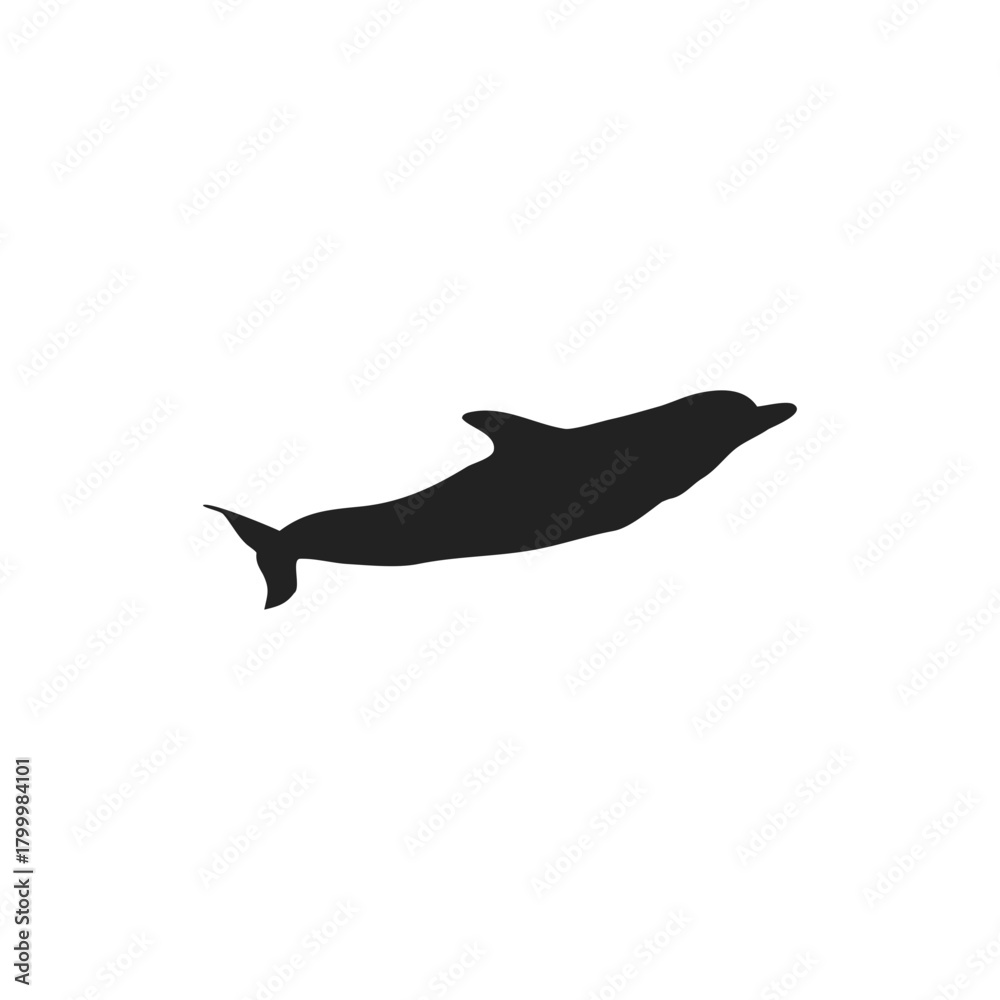 Obraz premium dolphin silhouette vector icon illustration