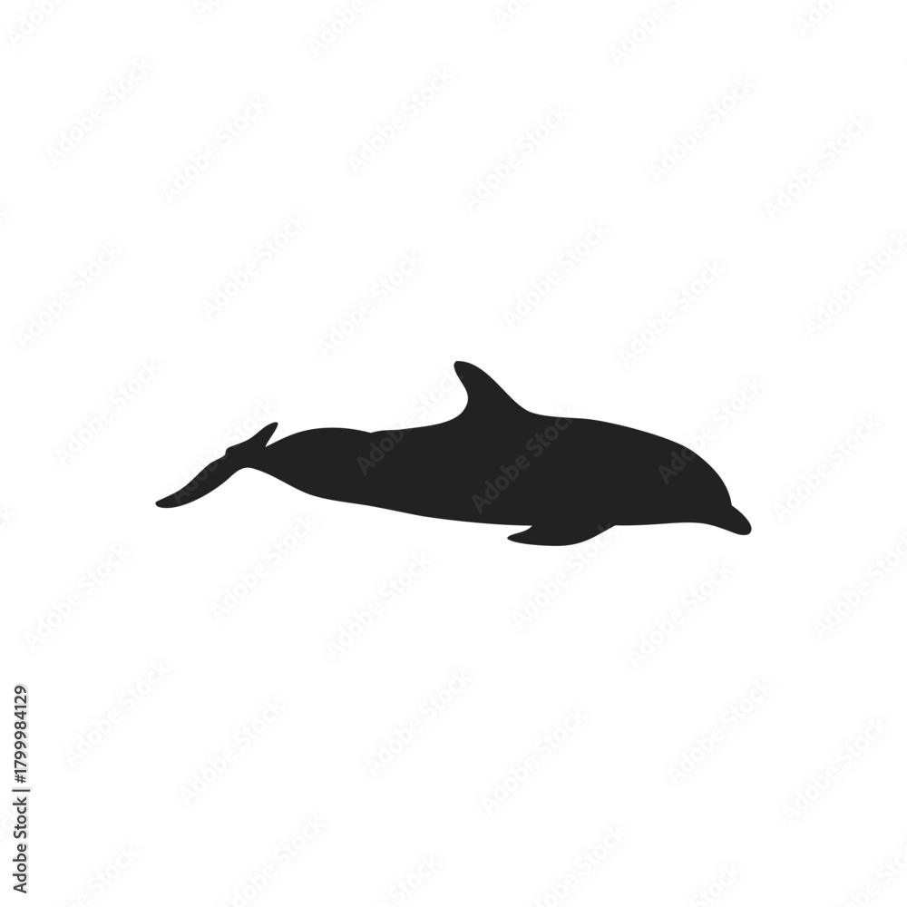 Obraz premium dolphin silhouette vector icon illustration