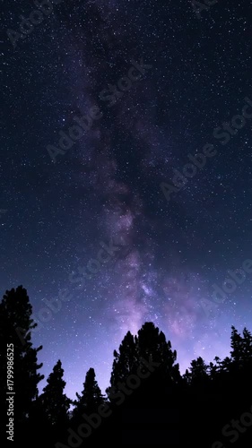 Vertical August Night Sky Milky Way Galaxy Above Oak Trees South Time Lapse Astrophotography
