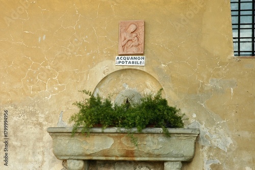 Vecchia fontana esterna alla certosa . Nel tempo con verde della natura