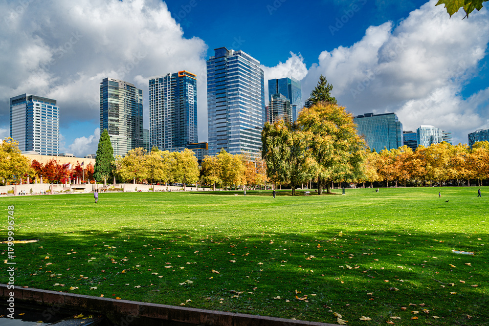 Naklejka premium Landscape Bellevue Park