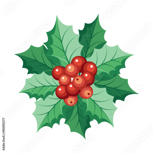 Christmas holly berry composition with red berries. Winter festive illustration.