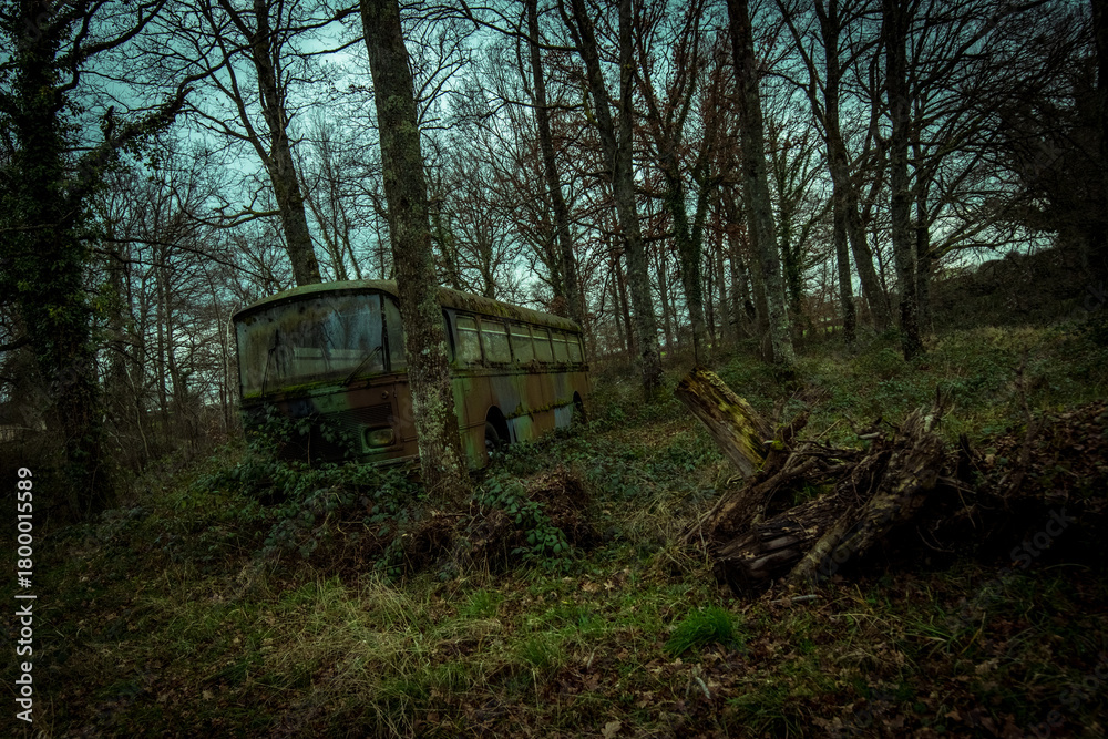 Obraz premium Moss-covered abandoned bus hidden in an overgrown, eerie forest