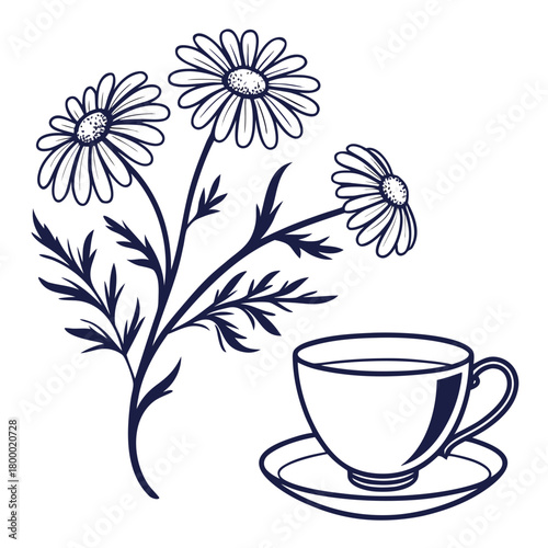 A cup of herbal tea with chamomile flowers isolated on