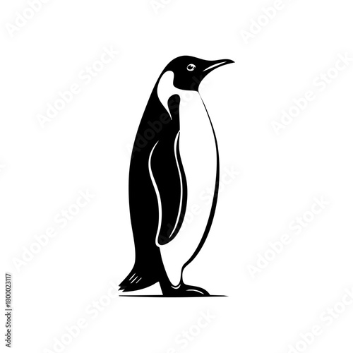 Standing penguin in profile representing Antarctic wildlife, cold-climate species and nature conservation themes.
