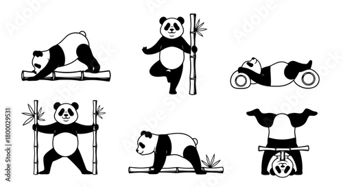 Panda bear doing yoga poses on bamboo sticks adorable black and white cartoon character engaged in various peaceful and active exercises illustration set