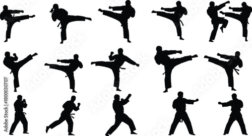 martial, arts, silhouette, kick, punch, stance, uniform, belt, training, combat, technique, movement, discipline, pose, action
