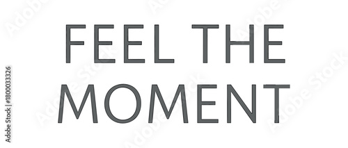Minimal typography with text FEEL THE MOMENT humanist font isolated on white background soft vector lettering design mindfulness typography