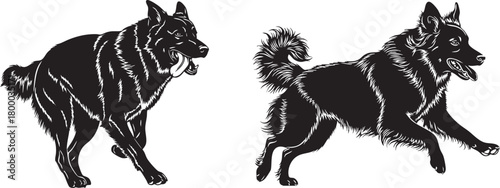 Aggressive and playful dog silhouettes. dynamic canine behavior illustration. isolated on white background, Vector