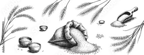 Detailed hand drawn illustration of rice sack with grains, wheat ears, bowl of flour, vintage farming and agriculture concept