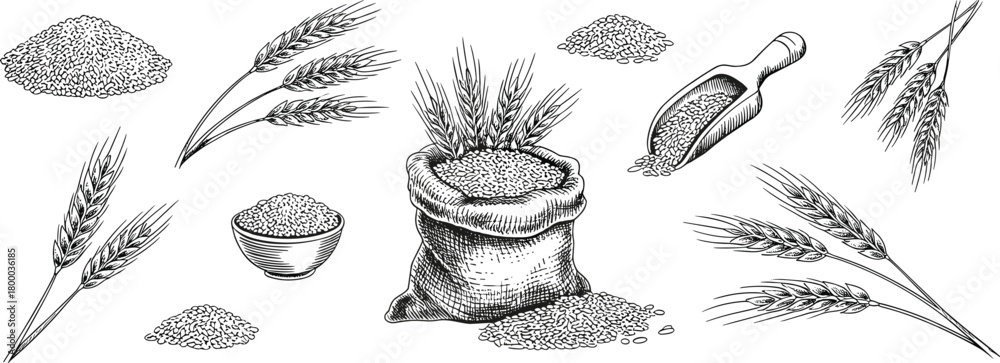 Naklejka premium Detailed hand drawn illustration of rice sack with grains, wheat ears, bowl of flour, vintage farming and agriculture concept