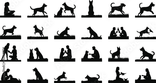 dog, human, silhouette, interaction, outdoor, play, training, walking, feeding, sitting, jumping, running, companionship, grass, pet