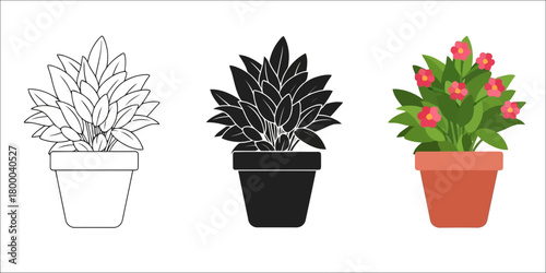 Plant Vector Set in Three Styles — Line Art, Silhouette and Color Version in pot perfect for coloring and creating botanical designs