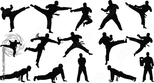 martial, arts, silhouette, combat, training, kick, punch, pose, strength, agility, discipline, movement, action, sport, technique