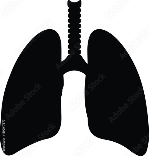 Black silhouette of human lungs and trachea isolated on white background representing respiratory system anatomy and health concepts