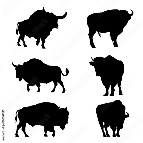 bull