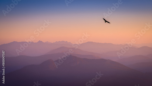 Soaring Above A Silhouette of a Bird Against the Serene Backdrop of Mountain Ridges at Sunset, Generative AI
