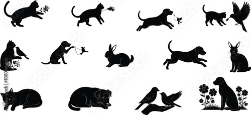 animals, silhouette, cat, dog, bird, rabbit, nature, flower, interaction, peaceful, playful, pet, wildlife, companion, illustration