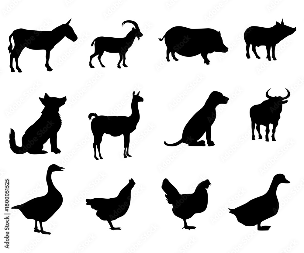 Obraz premium Farm animals silhouettes black and white hand drawn isolated on white