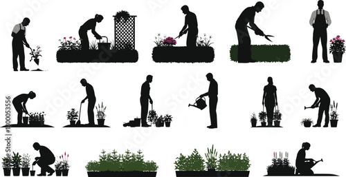 gardening, silhouette, planting, watering, trimming, horticulture, landscaping, flowers, tools, outdoor, nature, shovel, pruning, soil, activity