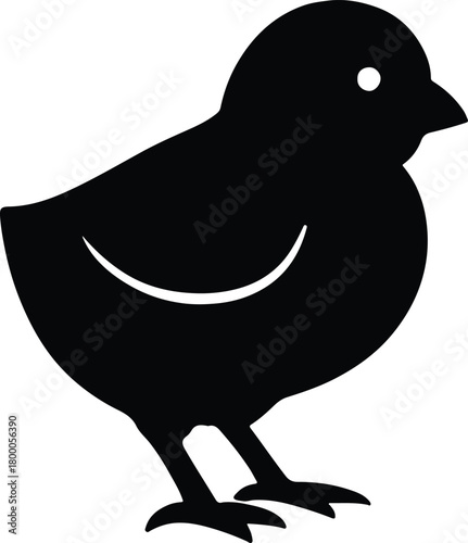 vector illustration of a chick on isolated background