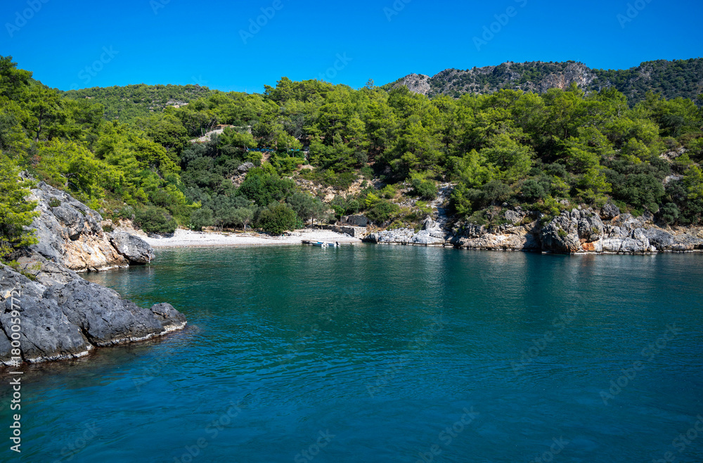 Obraz premium A view of a small, wild beach, cliffs, and pine forest from the Mediterranean Sea. A clear blue sky and bright blue water.