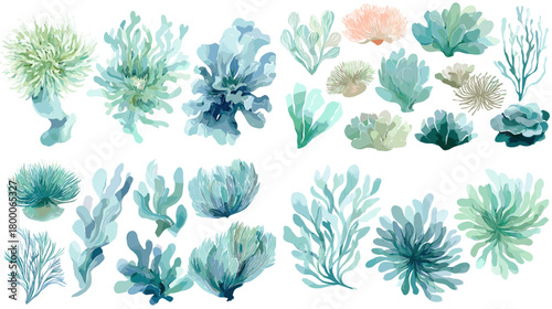 Soft watercolor coral and anemone collection in mint and teal hues lush reef plants and wavy forms, isolated on white. Great for patterns, packaging, posters, cards, and beach branding.