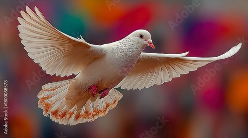 White dove flying freely