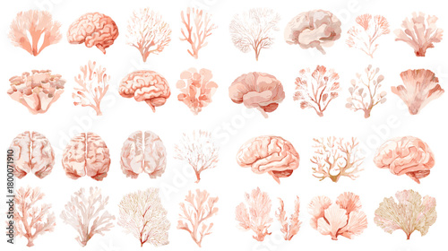 Peach watercolor coral set with brain and fan varieties in clean rows. Light, airy reef elements perfect for nautical branding, invitations, posters, and seamless patterns.