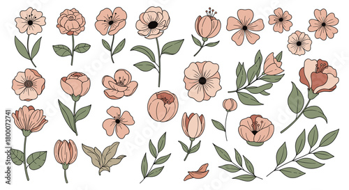 A collection of delicate peach colored floral elements with green leaves for artistic designs.