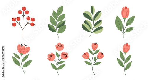 A collection of delicate botanical illustrations featuring vibrant berries and charming floral arrangements. .