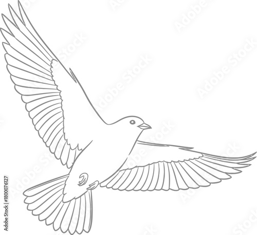Dynamic vector illustration depicting a swift bird in full flight line art contour sketch drawing animal wildlife element designed for logo and print design.