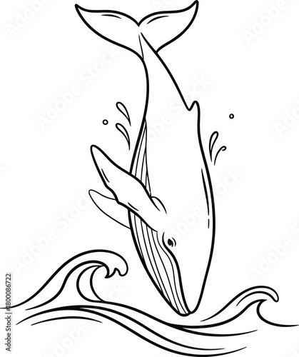 Large baleen whale breaching out of ocean surface waves illustration detailed marine life drawing aquatic animal jumping from sea water