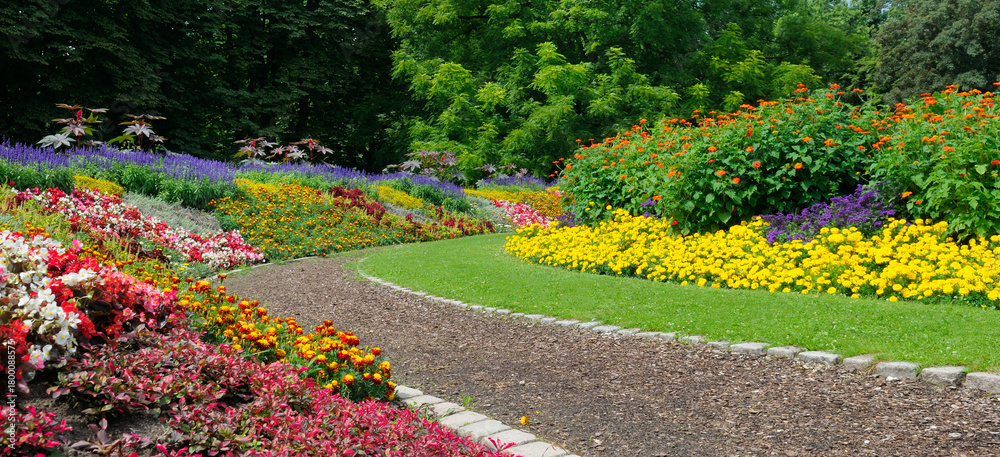 Obraz premium Winding Path Through a Lush, Vibrant Summer Flower Bed Garden
