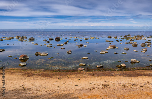 Fototapeta Naklejka Na Ścianę i Meble -  Estonian Coast Of The Baltic Sea
