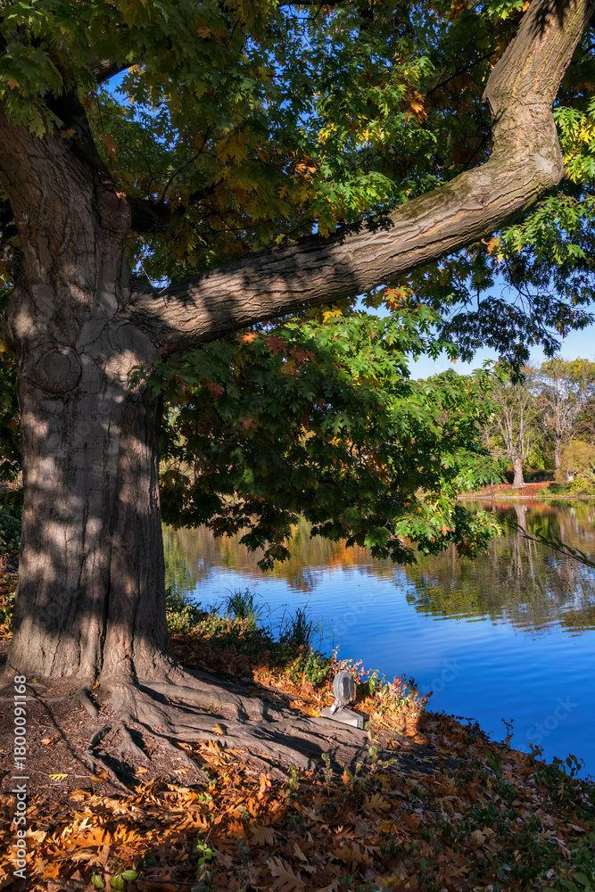 Fototapeta premium Royal Baths Park Autumn Scenery In Warsaw