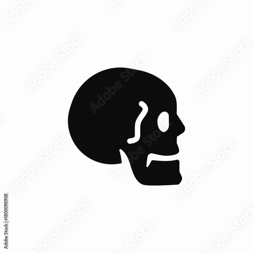skull radiology icon sign vector