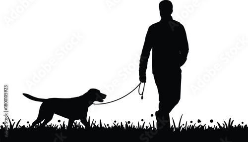 Silhouette of person walking dog on leash in grassy outdoor area, peaceful pet exercise scene during daily walk