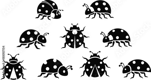 Collection of stylized ladybug insect silhouettes in multiple poses designed as bold vector graphics for nature themes, decorative artwork, entomology illustrations, and creative design projects