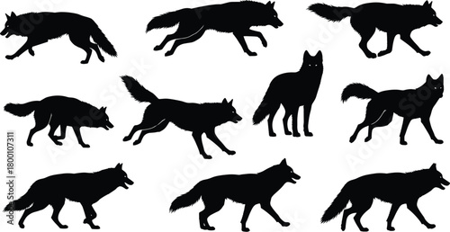 A collection of black silhouette illustrations of wolves in various dynamic poses, capturing their wild and powerful nature, suitable for wildlife or fantasy themes