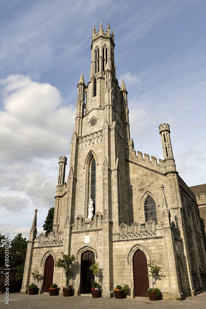 Fototapeta premium Cathedral of the Assumption, Carlow, Co Carlow, Ireland