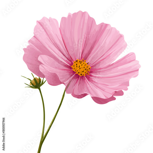 Minimalist 2D vector icon representation of a Cosmos Flower, displayed on a pure white background